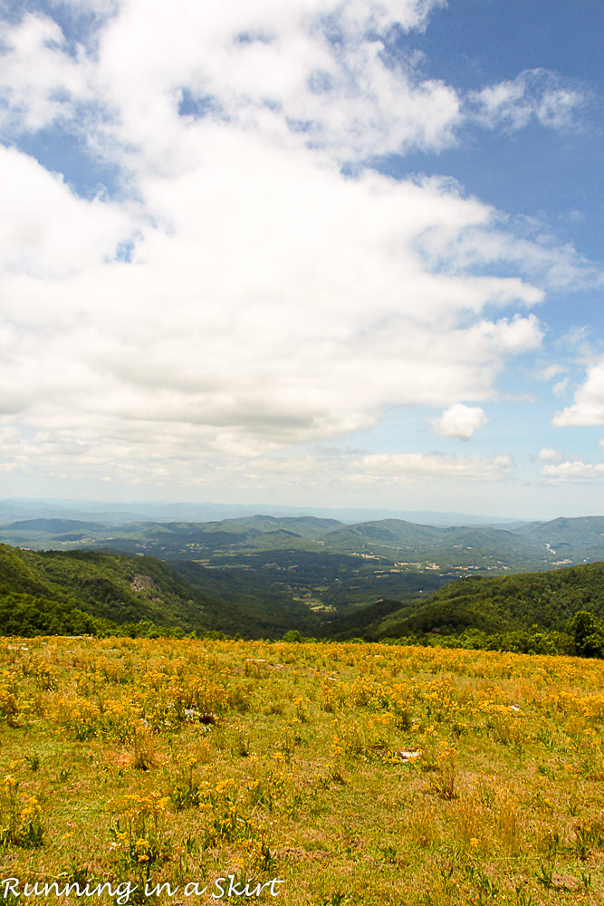 Bearwallow Mountain Summer Hike- Western North Carolina Hiking