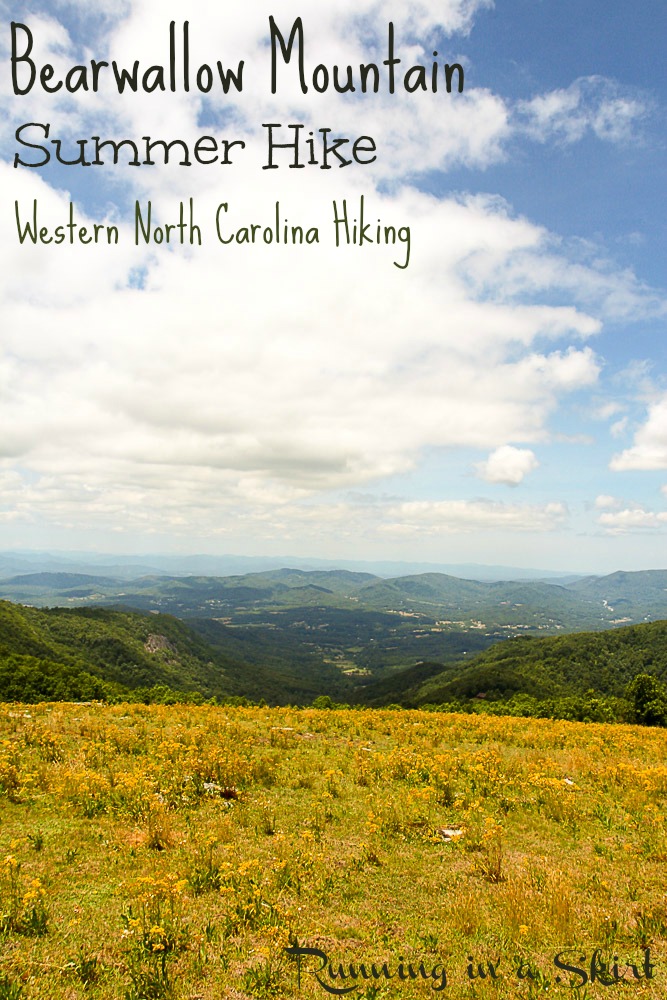 Bearwallow Mountain Summer Hike- Western North Carolina Hiking