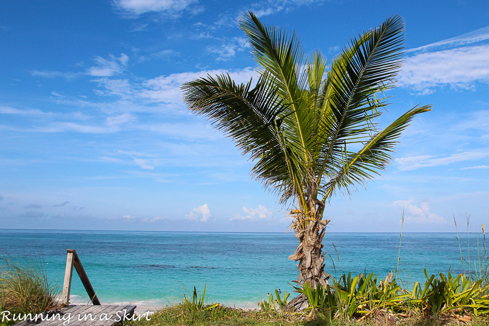 The Abacos Bahamas-2-1