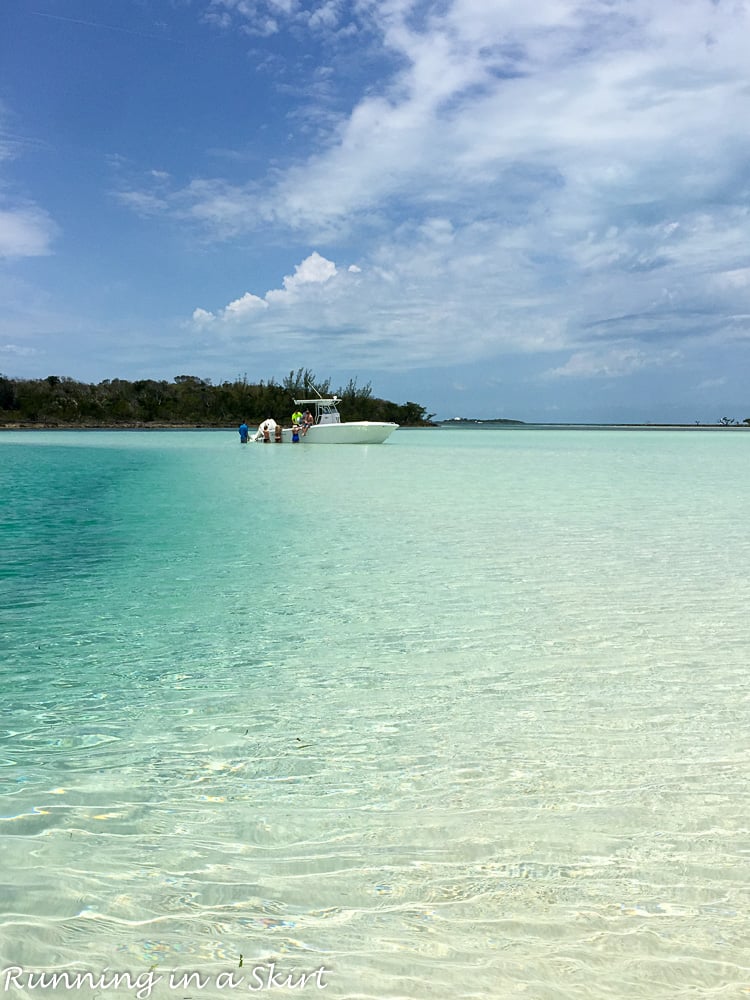 The Abacos Bahamas-48-2-29