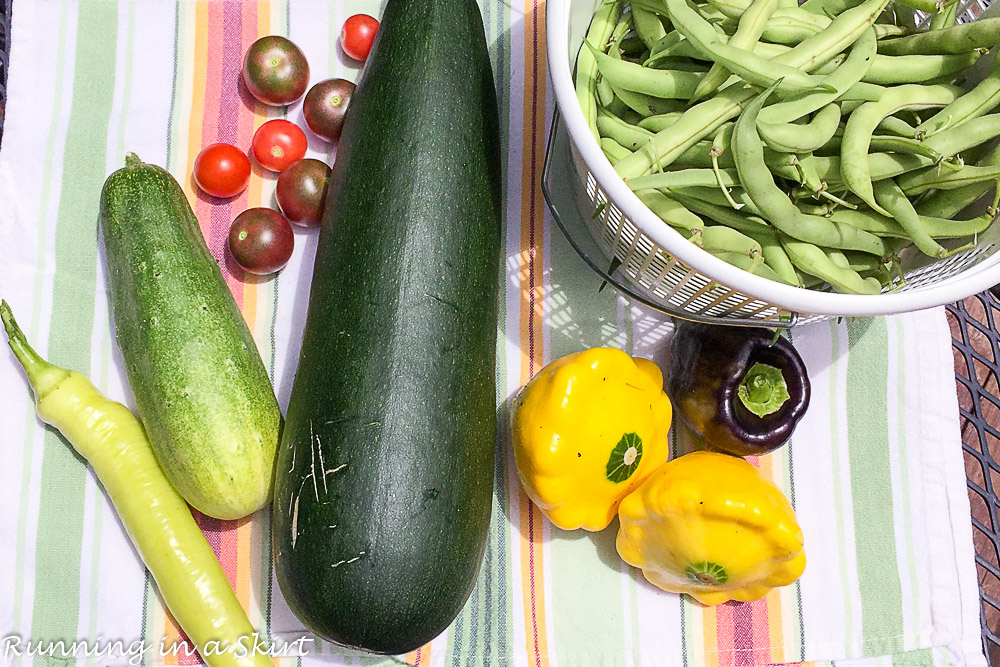 July 2016 Garden Harvest