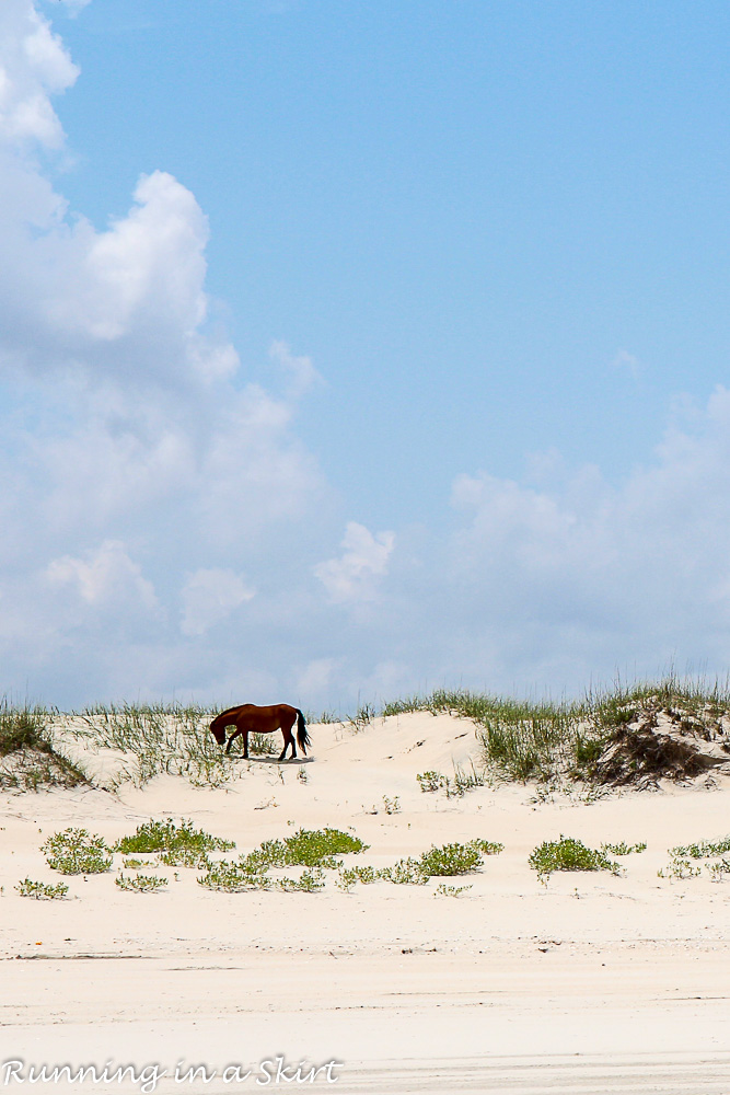 Outer Banks-173-21