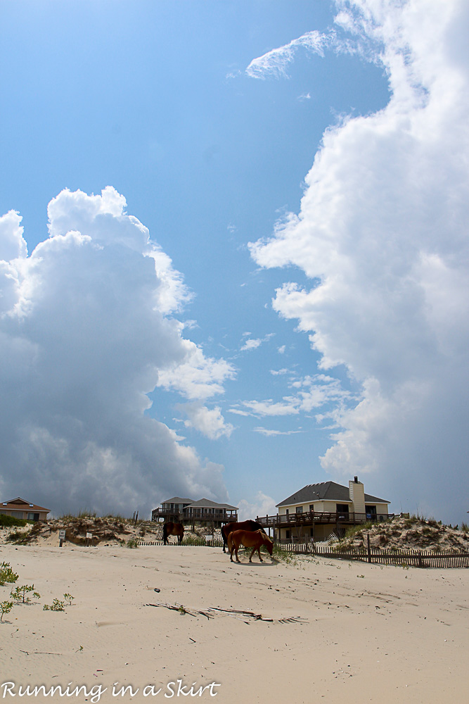 Outer Banks-362-24