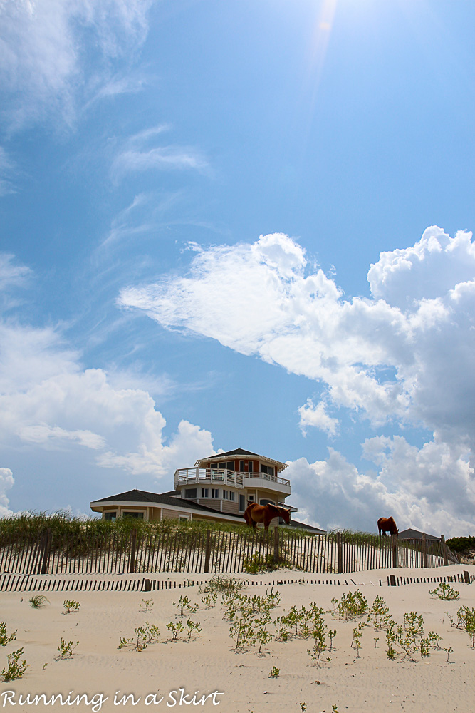 Outer Banks-365-25