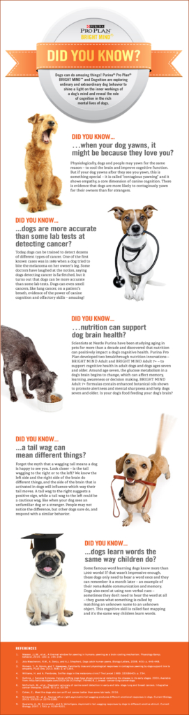 Purina Pro Bright Minds Senior Dogs Information