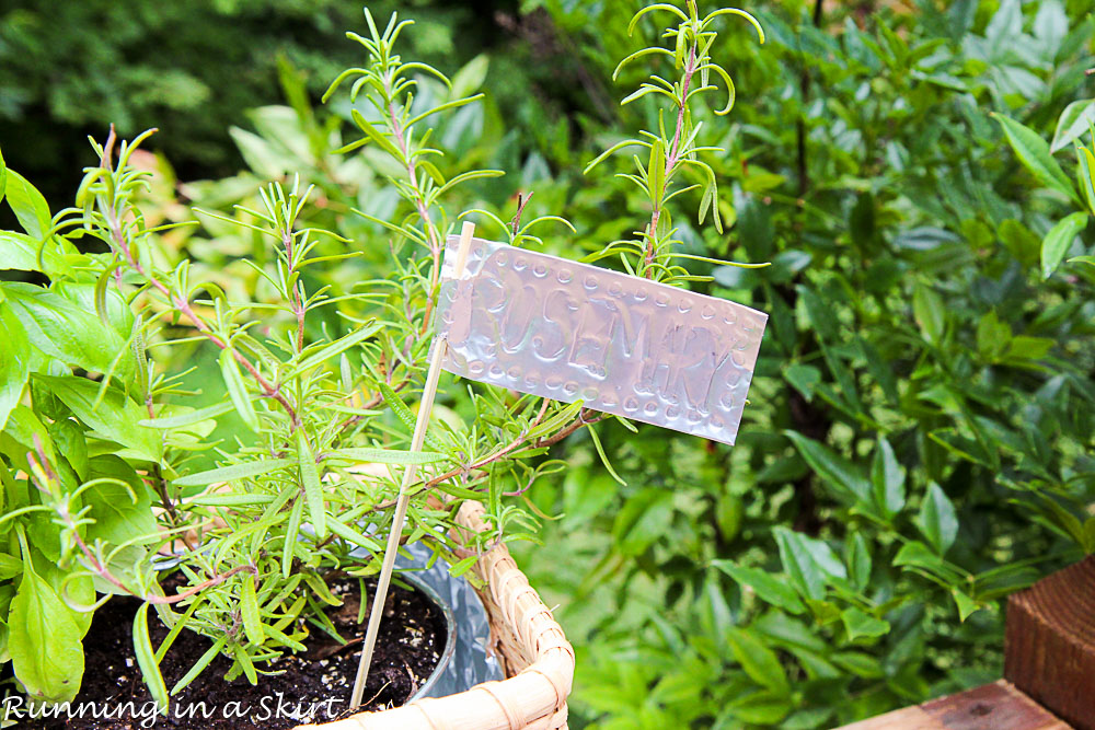 How to Make an Indoor Herb Garden-137-16