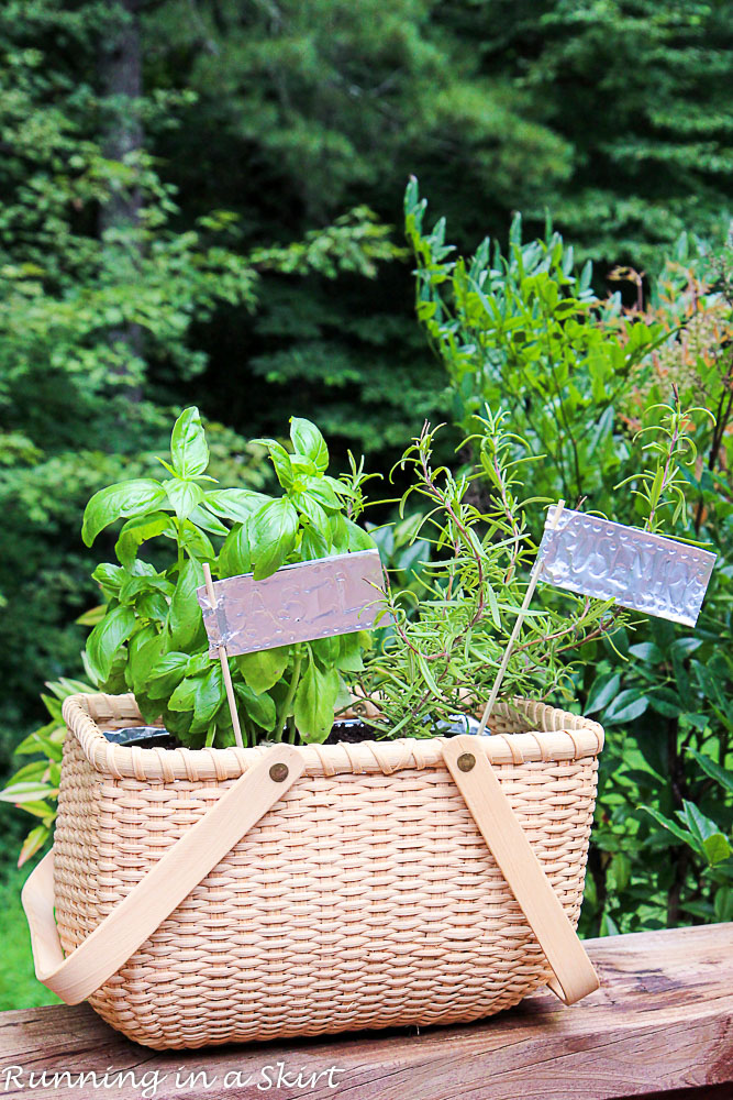 How to Make an Indoor Herb Garden-144-17