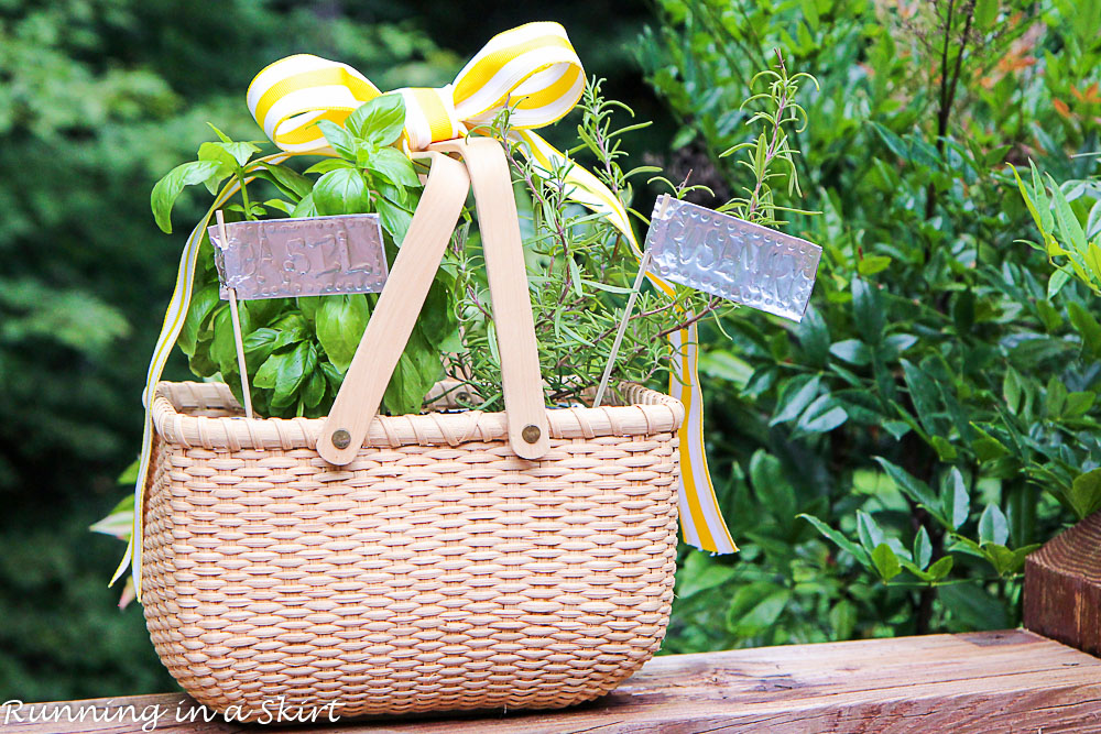 How to Make an Indoor Herb Garden-160-20