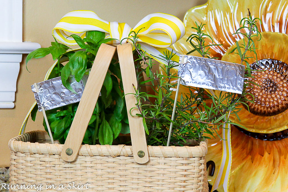 How to Make an Indoor Herb Garden-263-25