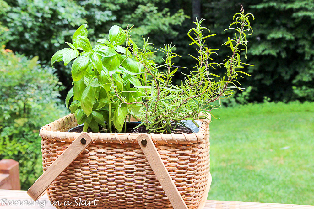 How to Make an Indoor Herb Garden-69-9