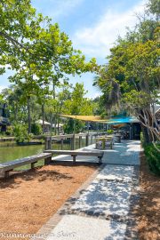 25 Can't Miss Things To Do at Hilton Head Island « Running in a Skirt