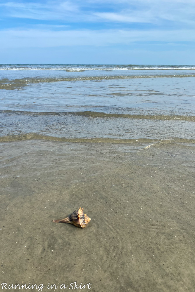 Beaches are a Top Thing to Do at Hilton Head Island, SC.