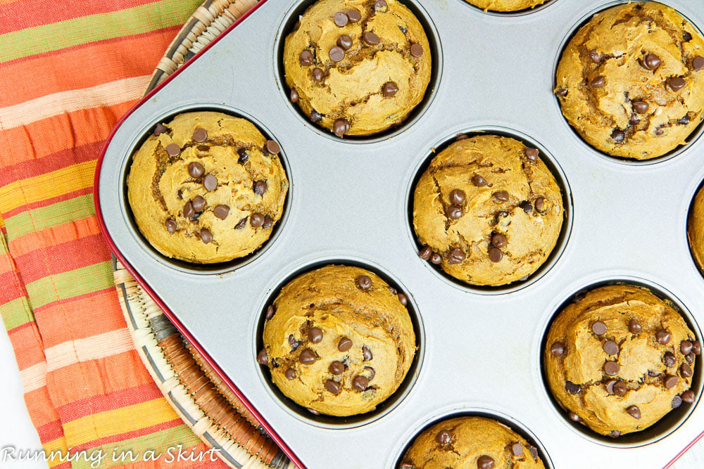 3 Ingredient Pumpkin Chocolate Chip Muffins in a muffin pan.