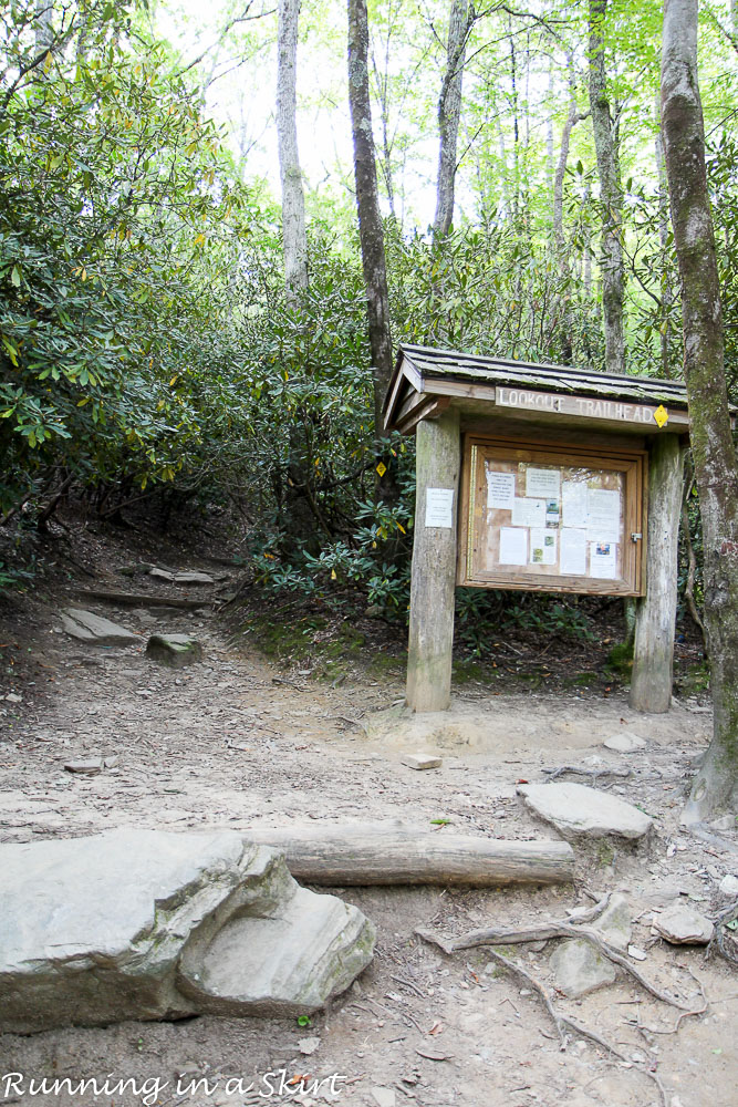 lookout-mountain-montreat-hiking-1