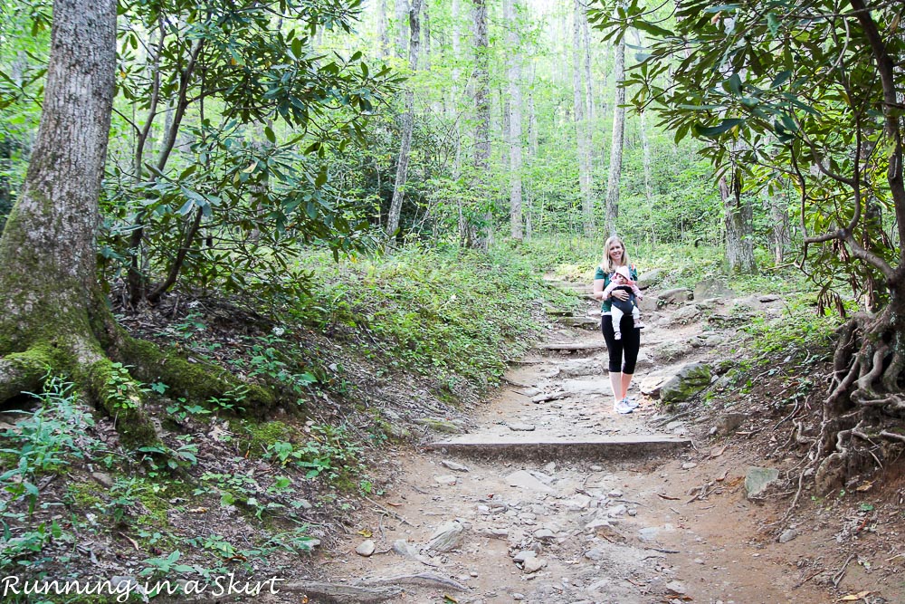 lookout-mountain-montreat-hiking-2