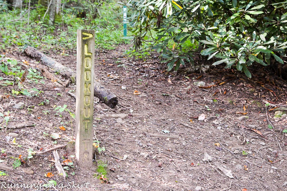 lookout-mountain-montreat-hiking-4