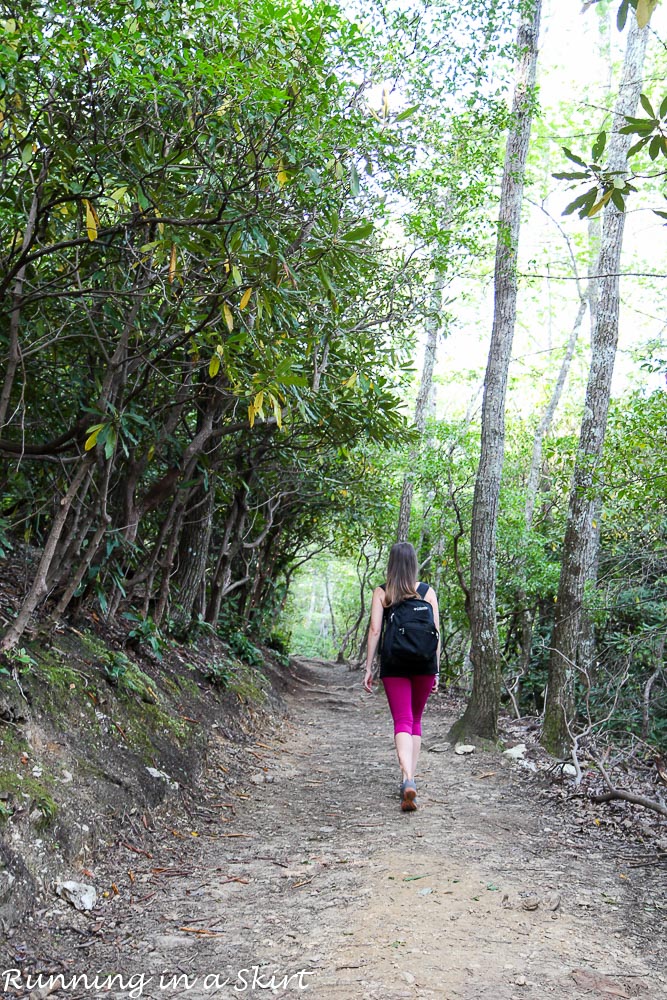 lookout-mountain-montreat-hiking-5