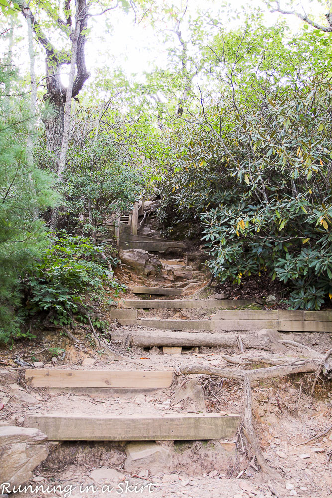 lookout-mountain-montreat-hiking-7