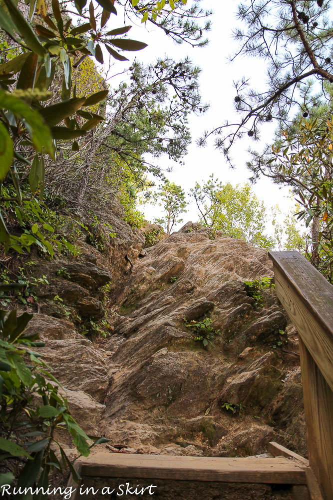 lookout-mountain-montreat-hiking-8