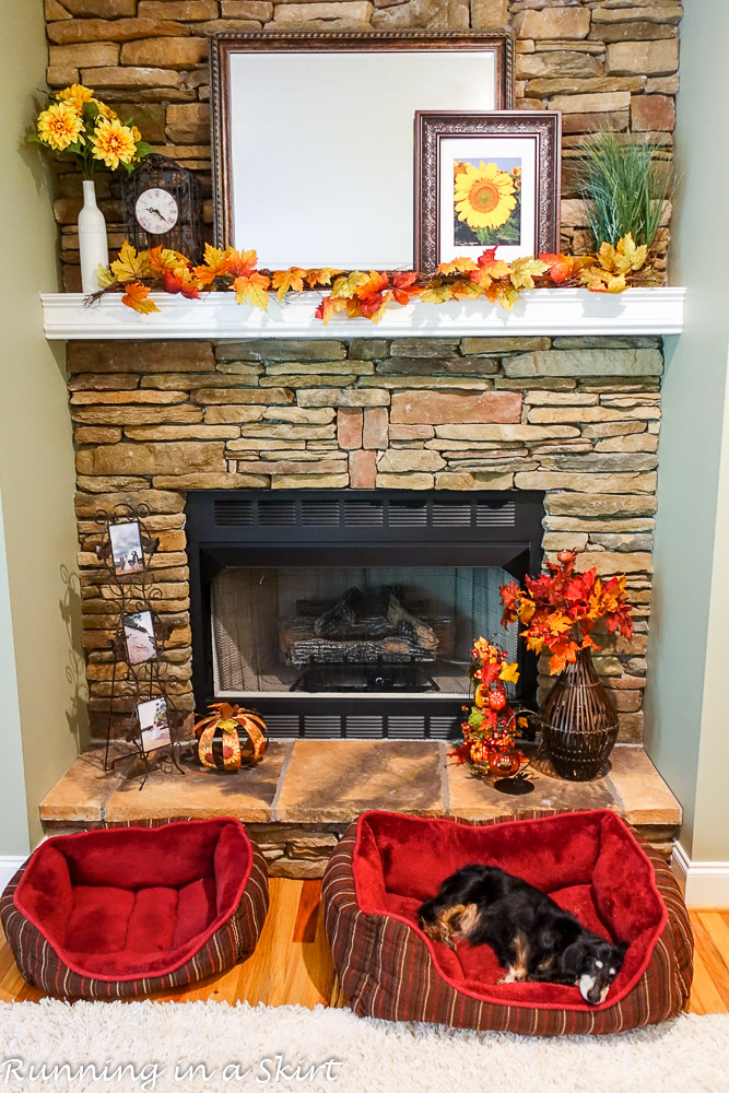 Fall Decor 