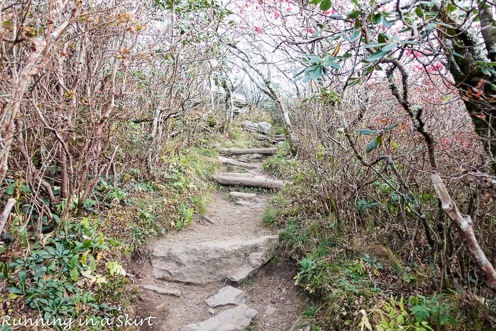 craggy-pinacle-in-fall-13