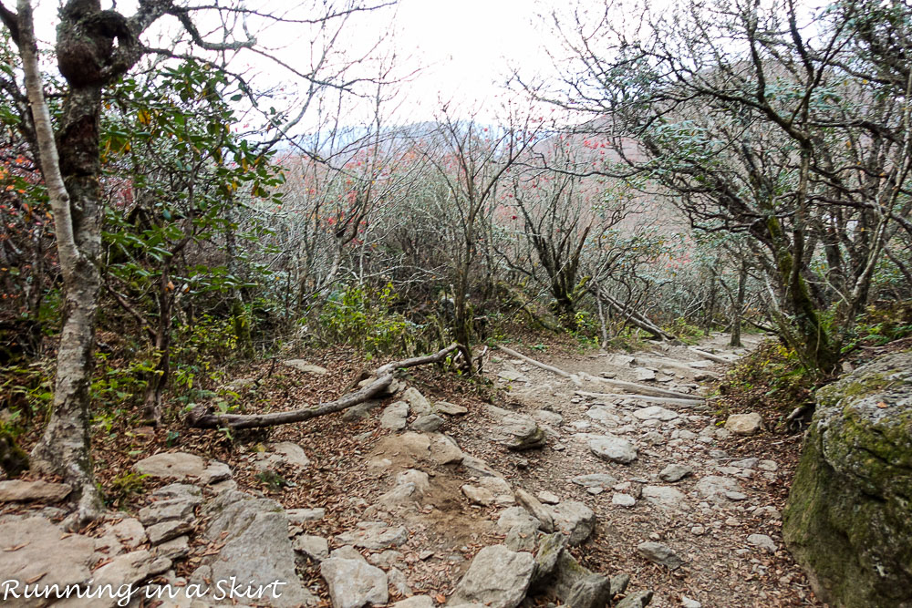 craggy-pinacle-in-fall-2