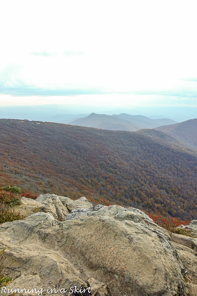 craggy-pinacle-in-fall-36