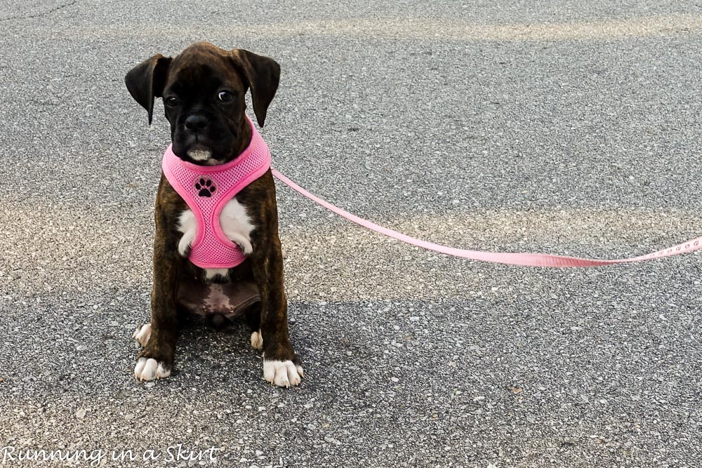 makena-10-weeks-3