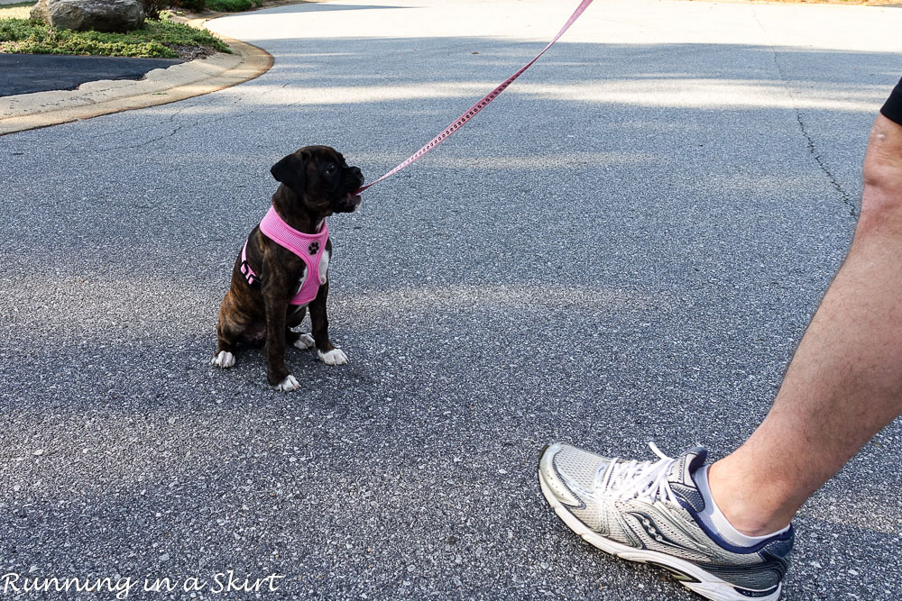 makena-10-weeks-4