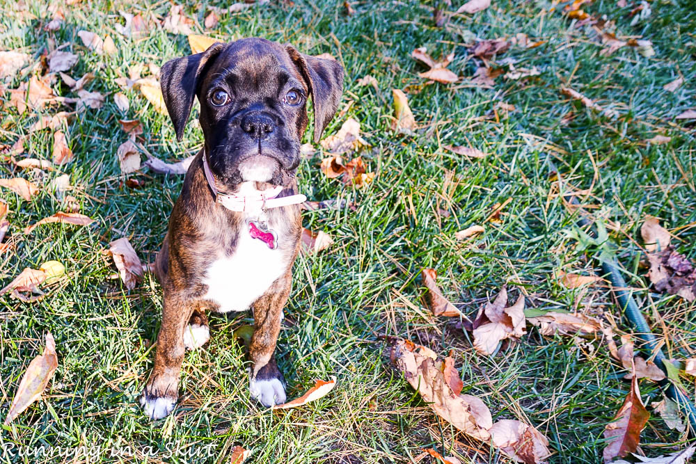 makena-rose-12-weeks