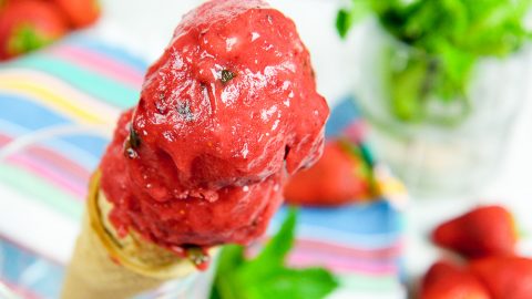 3 Ingredient Vegan Strawberry Sorbet - Strawberry Mint Nice Cream / Running in a Skirt