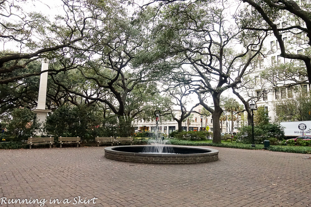 savannah-december-2016-44-20