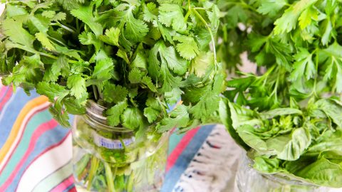 The Best Way to Store Fresh Herbs in the Fridge for Weeks! / Running in a Skirt