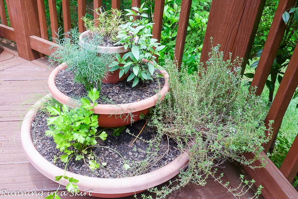 DIY Stacked Herb Garden - Growing Herbs at Home