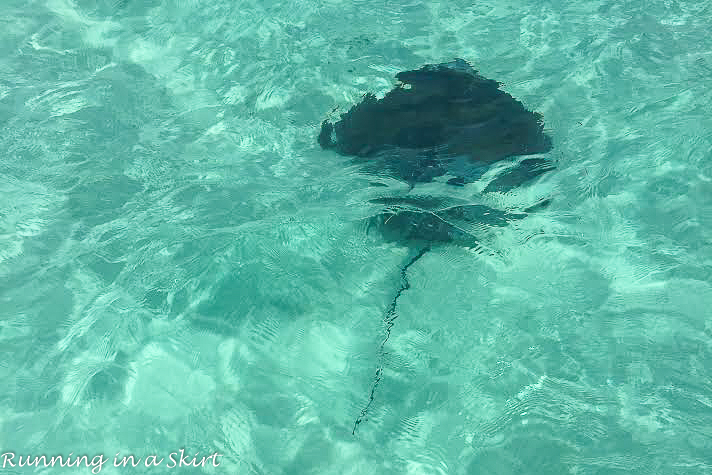 What to do in the Abacos / Running in a Skirt