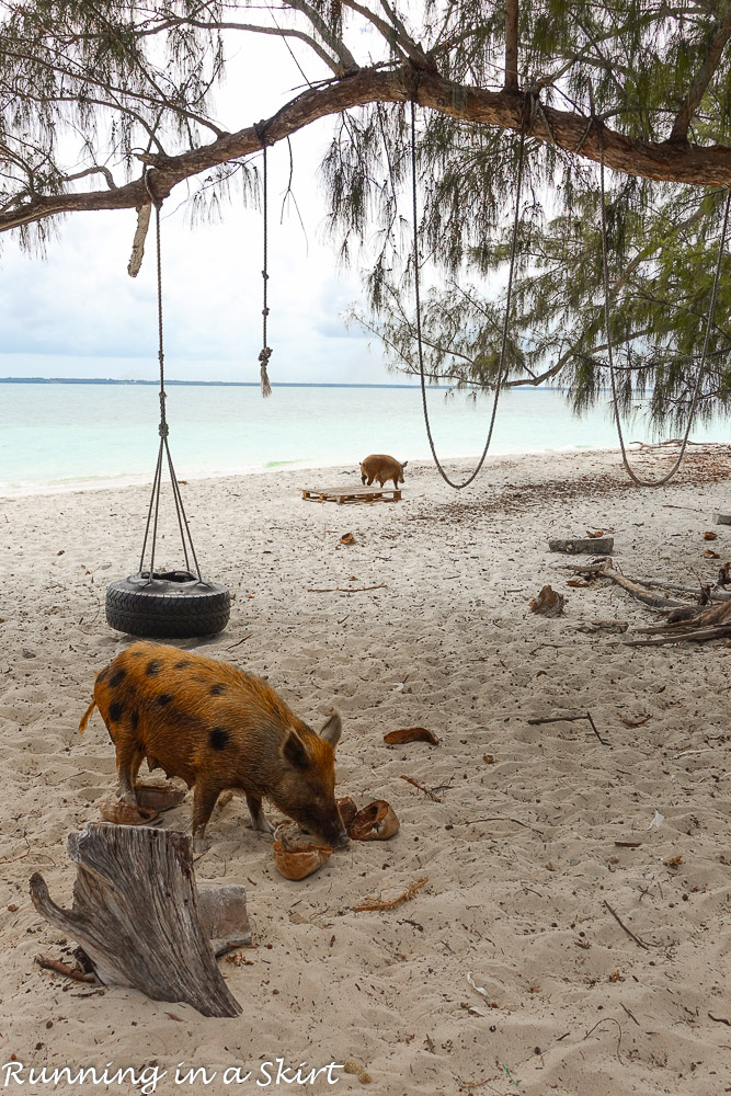 What to do in the Abacos / Running in a Skirt