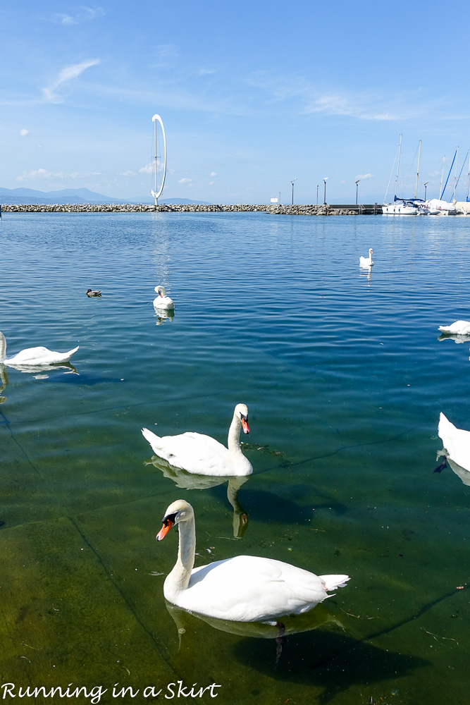 What to do in Lausanne Switzerland / Running in a Skirt