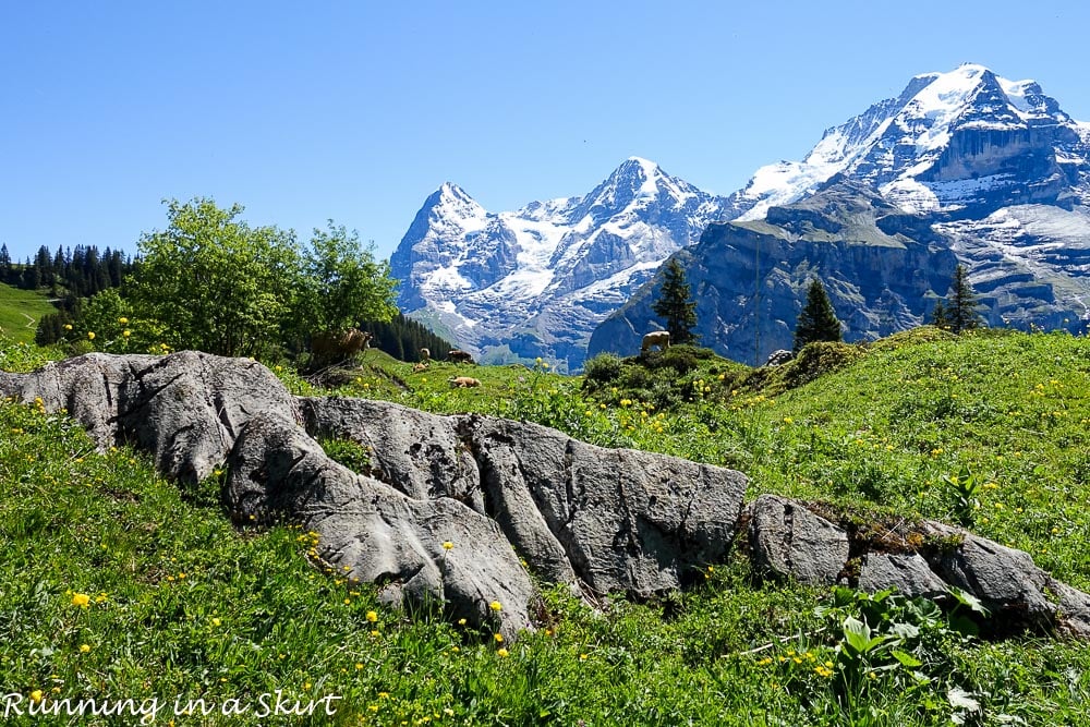 Why Murren is one of the most beautiful places in Switzerland / Running in a Skirt