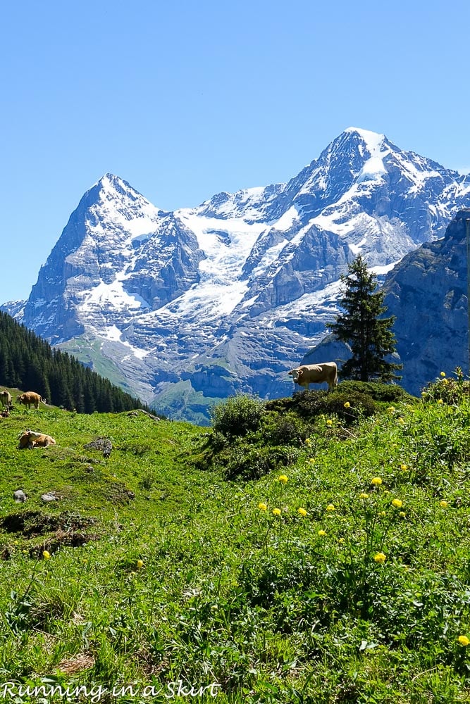 Why Murren is one of the most beautiful places in Switzerland / Running in a Skirt