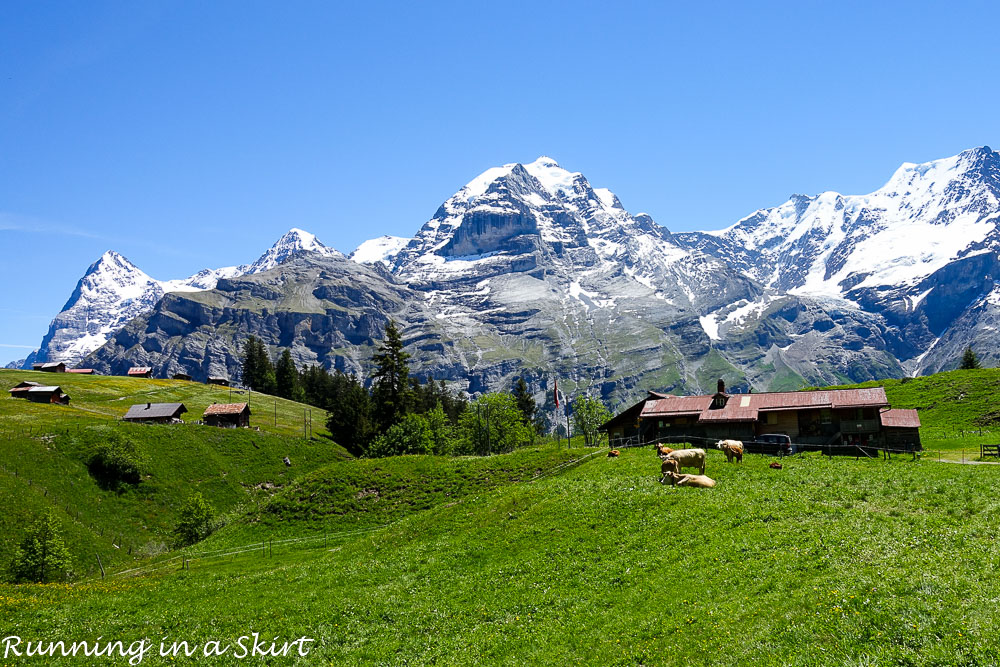 Why Murren is one of the most beautiful places in Switzerland / Running in a Skirt