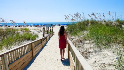 The Best Things to Do and Eat on Hilton Head Island
