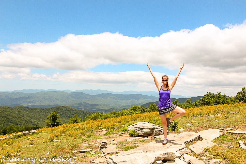 View at the top of Bearwallow mountain in the summer.