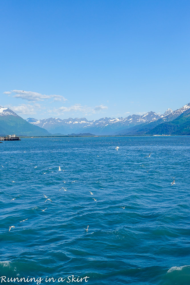 What to do in Valdez Alaska and the journey to get there. / Running in a Skirt