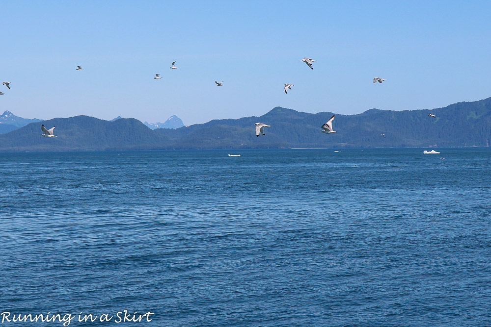 What to do in Valdez Alaska and the journey to get there. / Running in a Skirt