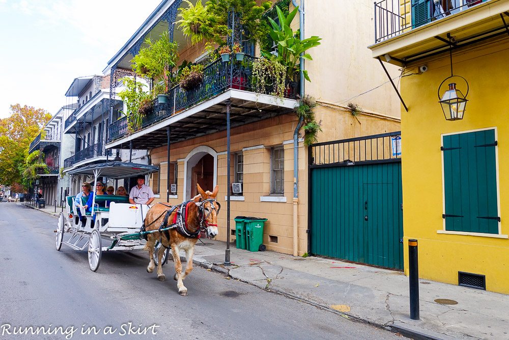 48 Hours in New Orleans What to See and Do / Running in a Skirt