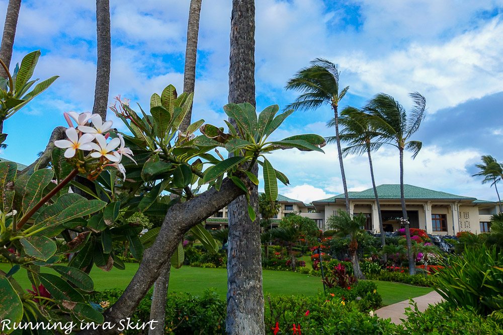Grand Hyatt Kauai Resort and Spa Experiences