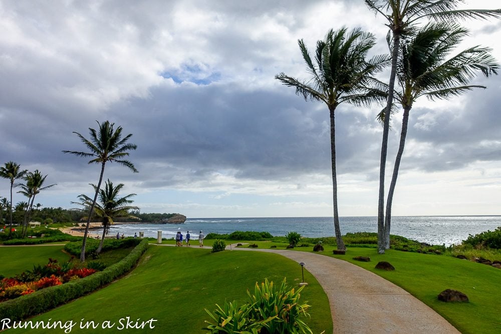 Grand Hyatt Kauai Resort and Spa Experiences