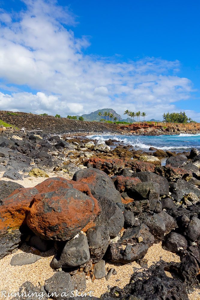 Grand Hyatt Kauai Resort and Spa Experiences