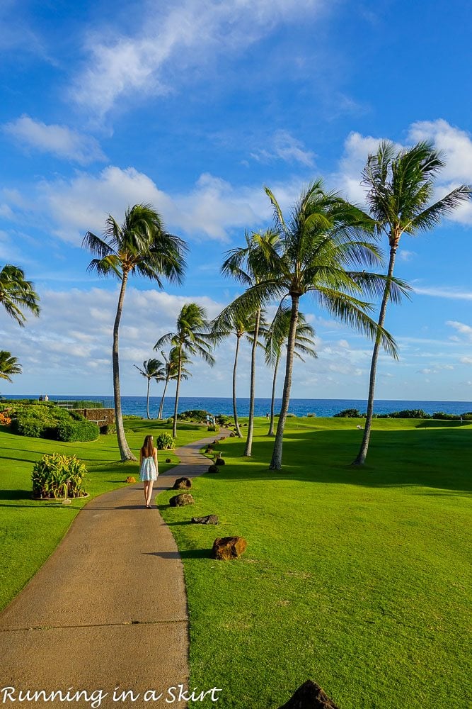 Grand Hyatt Kauai Resort and Spa Experiences