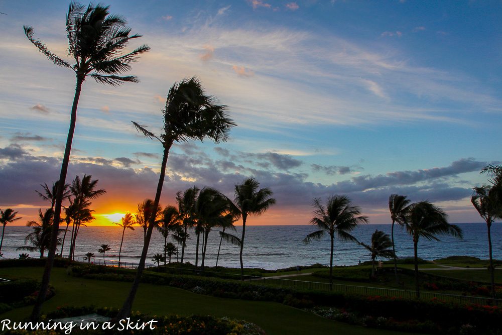 Grand Hyatt Kauai Resort and Spa Experiences